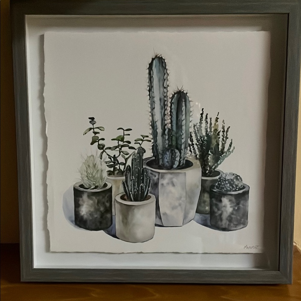 Framed Cactus Art Print